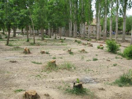 باغی قدیمی در تهران باغی قدیمی در تهران