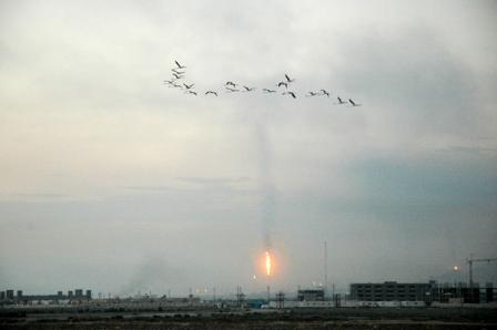 پارک ملی نایبند پارک ملی نایبند