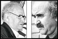 كدكني گيوي كدكني گيوي